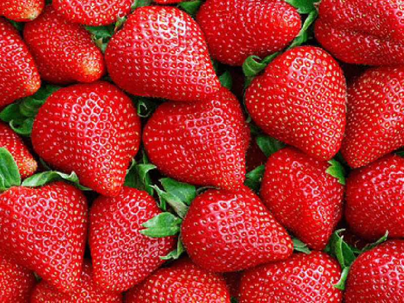 Strawberry-1-1new (1)