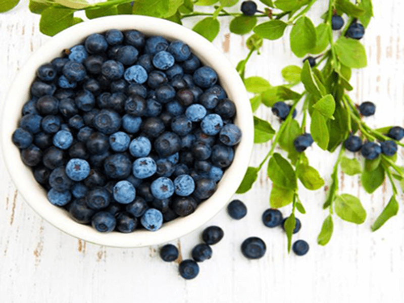 blueberriesnew (1)